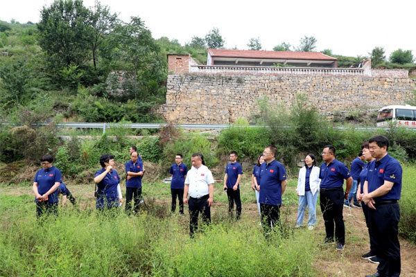 专家组在北柴胡生态莳植模式试验基地睁开讨论