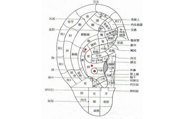 推拿耳朵,推拿耳朵的要领,推拿耳朵的利益