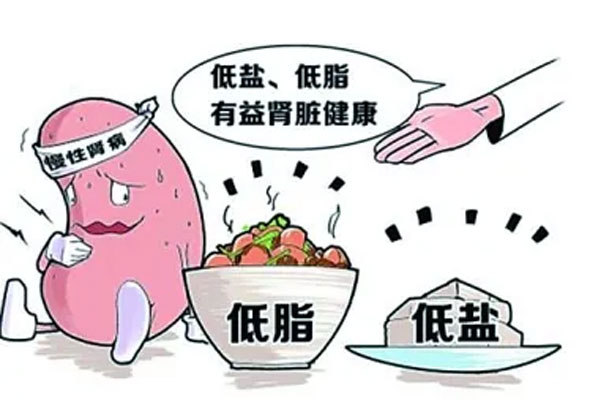 合理饮食养好肾